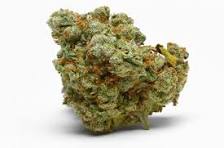 Tamarindo Buds