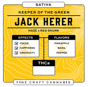 Jack Herer Seeds-3PACK