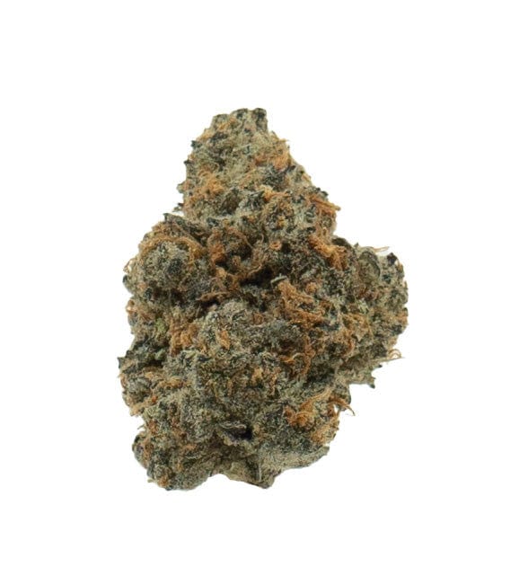 Oreoz Freeze Dried